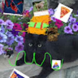 Meet your Posher, Lisa